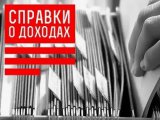В Челнах разъясняют порядок заполнения декларации