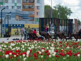 16 августка метеорологик фараз