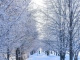Погода в Набережных Челнах на 25 января