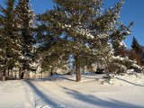 Погода в Набережных Челнах на 10 января