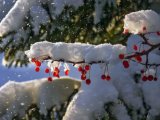 Прогноз погоды на 22 февраля