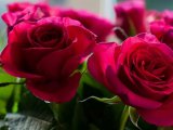 Ветераны Великой Отечественной войны принимают поздравления с 95-летием