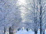 Яр Чаллыда 13 мартка һава торышы