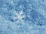 Прогноз погоды на 14 января