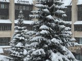 Погода в Набережных Челнах на 11 февраля