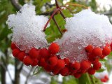 Дождь с мокрым снегом прогнозируются в Набережных Челнах