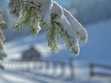Прогноз погоды на 20 февраля в Набережных Челнах