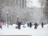 В Татарстане вновь ожидается метель с ухудшением видимости до 1000 метров и менее