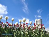 В Татарстане ожидаются гроза и сильный ветер порывами до 15-20 м/с