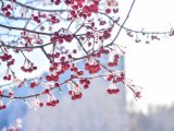 Погода в Набережных Челнах на 1 февраля