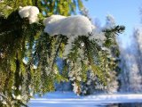 Прогноз погоды в Набережных Челнах на 15 января