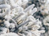 Прогноз погоды в Набережных Челнах на 17 декабря