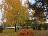 Погода в Набережных Челнах на 17 ноября