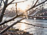 Яр Чаллыда 28 мартка һава торышы