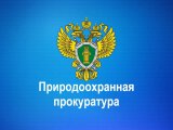Табигатьне саклау прокуратурасы Чаллыда эшмәкәрләрне кабул итә