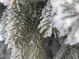 Прогноз погоды на 20 января: солнечная зима