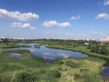 Яр Чаллыда алмашынучан болытлы һава көтелә