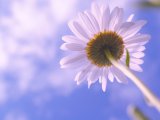 Яр Чаллыда +27 градуска кадәр җылытачак