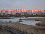 Чаллылыларны урманнарда янгын куркынычы югары булуы хакында кисәтәләр