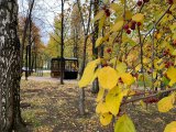 Яр Чаллыда +13 градуска кадәр көтелә