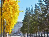 Яр Чаллыда 6 апрельгә һава торышы