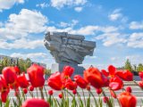 В Набережных Челнах появится памятник участникам СВО