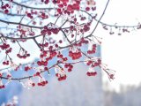 Яр Чаллыда 7 мартка һава торышы