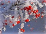 В Набережных Челнах прогнозируется метель