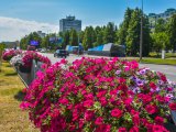 Прогноз погоды на 22 июля