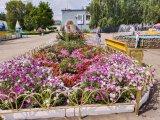 Лучший цветник, двор, и другие