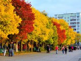 Татарстанда көньяк-көнчыгыштан исүче җилнең тизлеге секундына 15-18 метрга җитәргә мөмкин