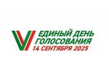 В Набережных Челнах открылись 173 избирательных участка