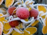 Прогноз погоды на 6 ноября