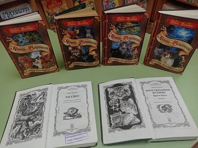 Книжная выставка «Приключения котов-воителей»