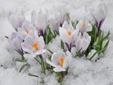 Прогноз погоды в Набережных Челнах на 8 марта