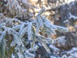Погода в Набережных Челнах на 24 февраля