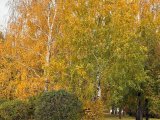 Погода в Набережных Челнах на 3 ноября