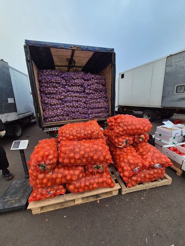 На челнинские сельскохозяйственные ярмарки завезли 1000 тонн продукции