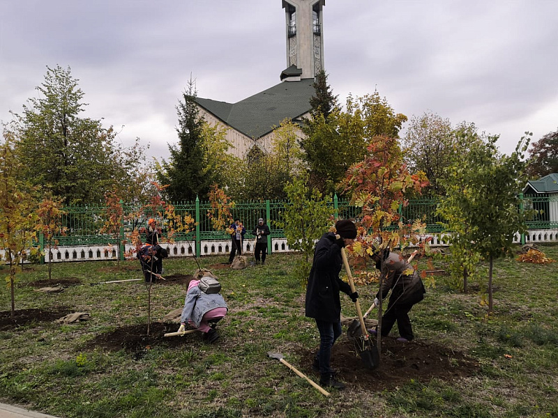 Челнинцы высадили рябины, ели и лиственницы