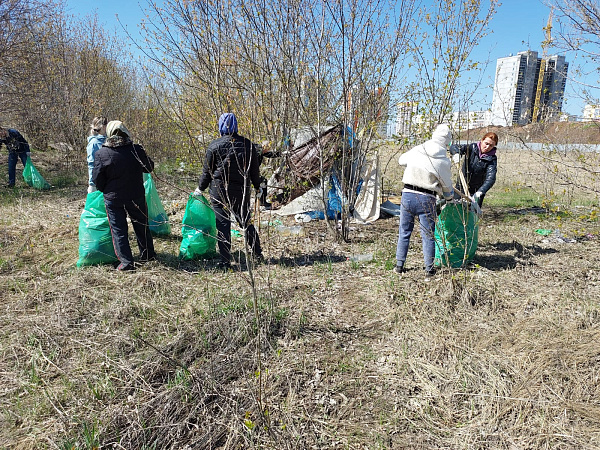 В ходе субботника сегодня челнинцы высадили около 100 деревьев