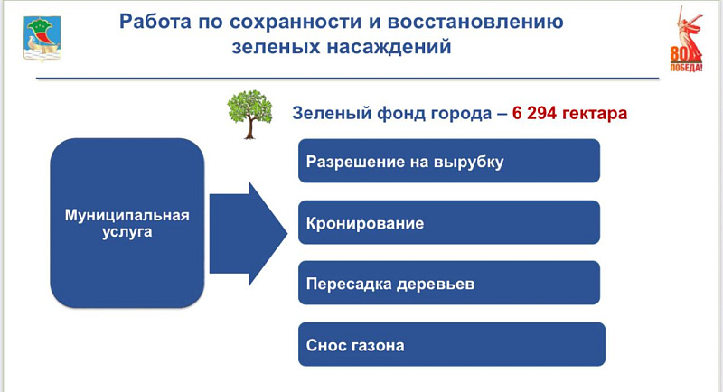 Зеленый фонд Набережных Челнов составляет 6 294 гектара