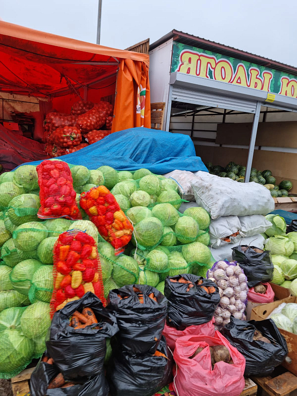На челнинские ярмарки завезли свыше 1300 тонн продукции