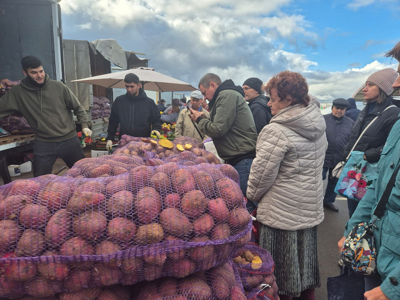 В городе продолжаются сельскохозяйственные ярмарки