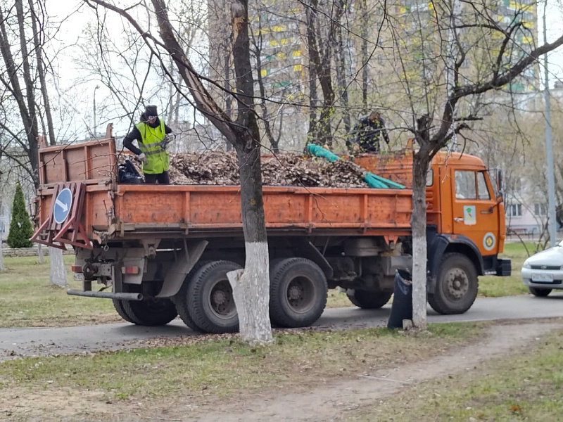 С начала двухмесячника в Челнах посадили более 4 тысяч деревьев