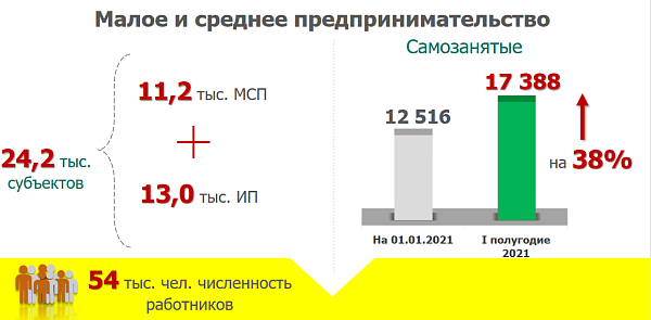 С начала текущего года на 38 % увеличилось количество самозанятых граждан в Набережных Челнах