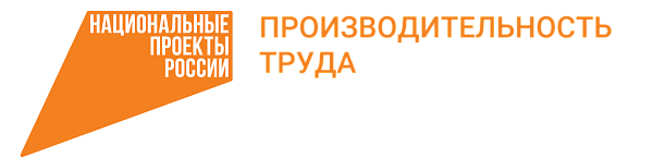 Челнинские предприятия могут войти в федеральный проект «Производительность труда»