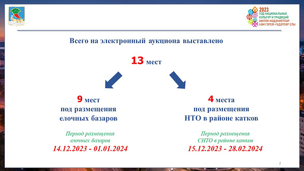 Челнинцы могут торговать на катках и елочных базарах