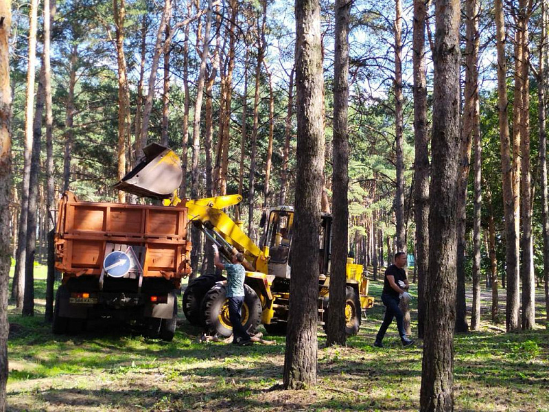 В Челнах прошла уборка территории