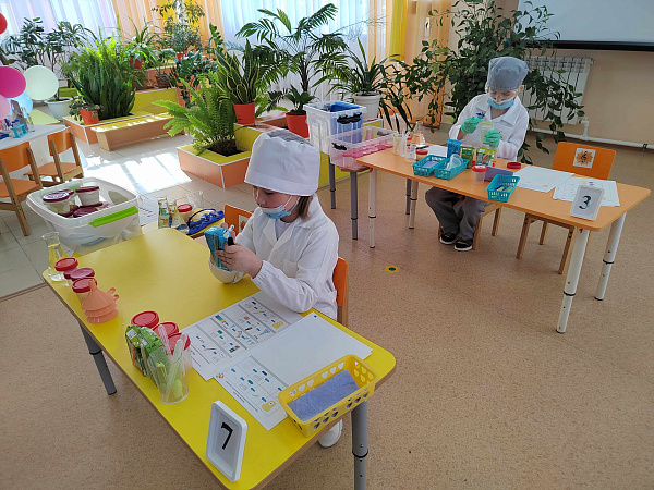 Подведены итоги II Межрегионального чемпионата «BabySkills-2022»