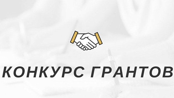 Челнинские НКО могут получить грант за социальные проекты